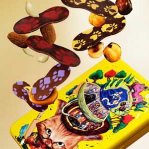 THE STORY OF CHOCOLATE FACTORY